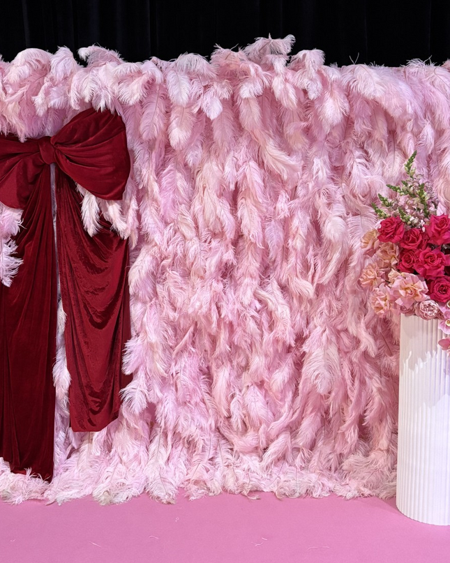 Pink Feather Wall