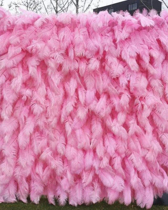 Pink Feather Wall