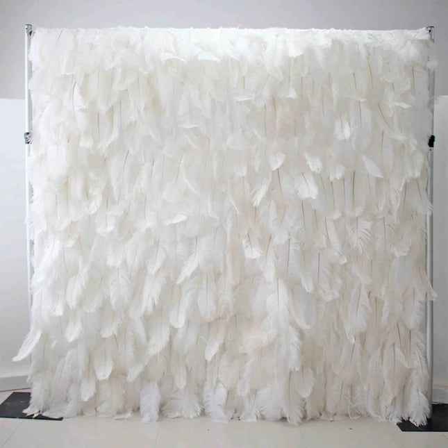White Feather Wall
