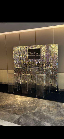 Clear Rectangle Plinths