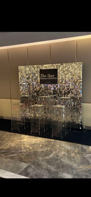 Clear Rectangle Plinths